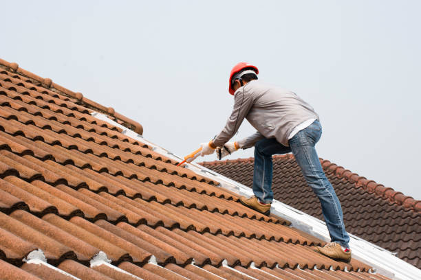 Professional Roofing services in Ardmore, TN