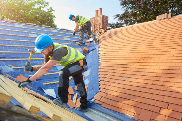 Best Roof Ventilation Installation  in Ardmore, TN